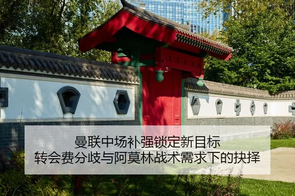 曼联中场补强锁定新目标 转会费分歧与阿莫林战术需求下的抉择