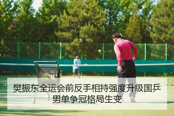 樊振东全运会前反手相持强度升级国乒男单争冠格局生变