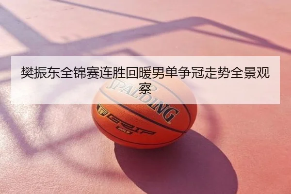 樊振东全锦赛连胜回暖男单争冠走势全景观察